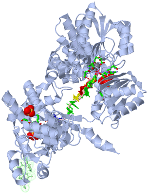 Image Asym./Biol. Unit - sites