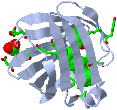 Image Biol. Unit 1 - sites