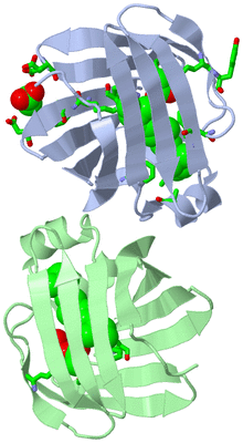 Image Asym. Unit - sites