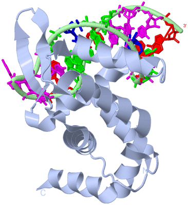 Image Biological Unit 1