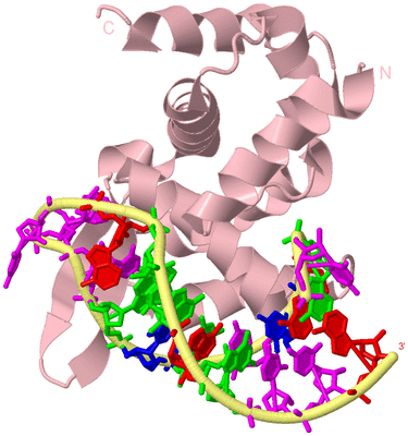 Image Biological Unit 2