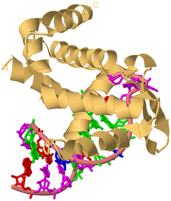 Image Biological Unit 4