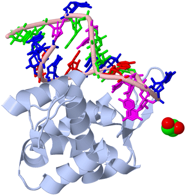 Image Biological Unit 1