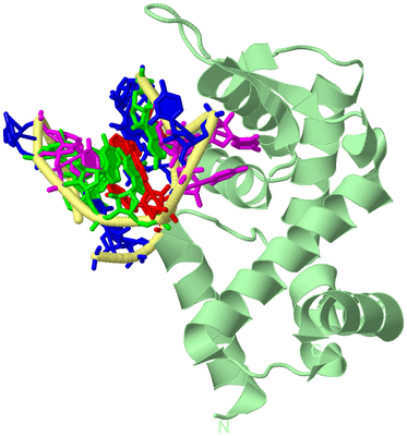 Image Biological Unit 2