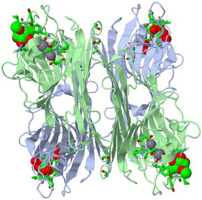 Image Biol. Unit 1 - sites