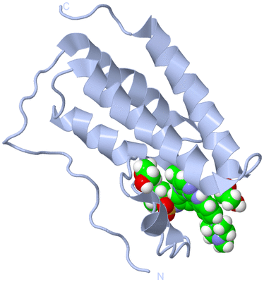 Image Biological Unit 1