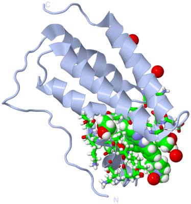 Image Biol. Unit 1 - sites