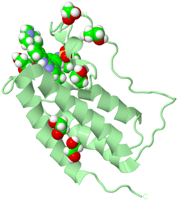 Image Biological Unit 2