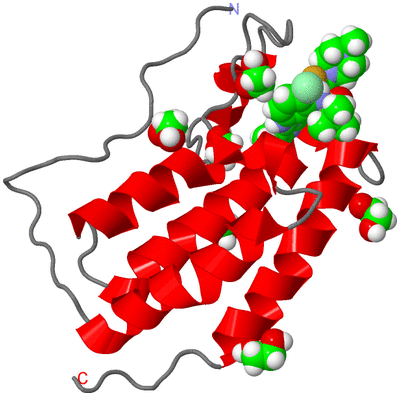 Image Asym./Biol. Unit