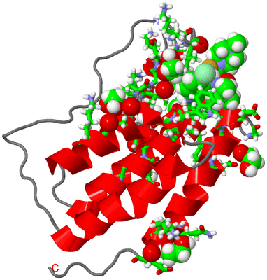 Image Asym./Biol. Unit - sites