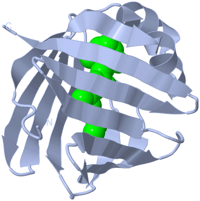 Image Biological Unit 1