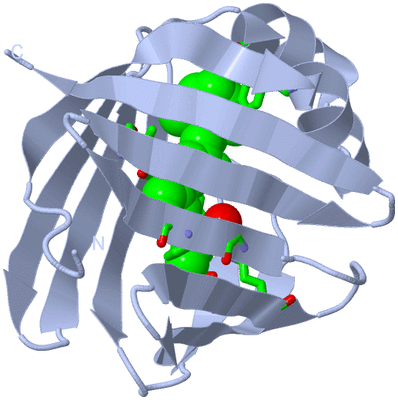 Image Biol. Unit 1 - sites