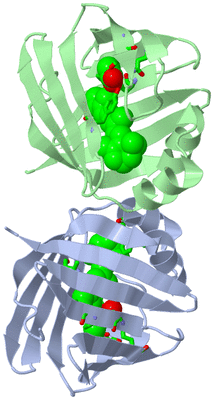 Image Asym. Unit - sites