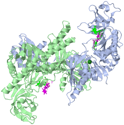 Image Asym./Biol. Unit