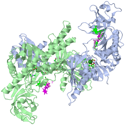 Image Asym./Biol. Unit - sites