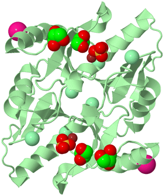 Image Biological Unit 2