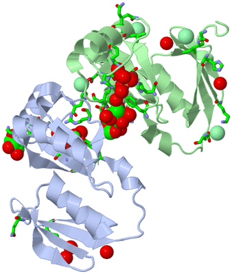 Image Asym. Unit - sites