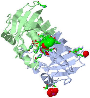 Image Asym./Biol. Unit - sites