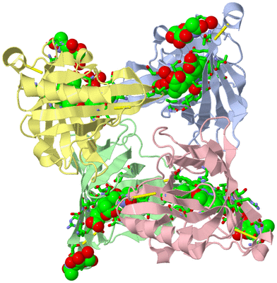 Image Asym./Biol. Unit - sites