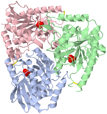 Image Biological Unit 1