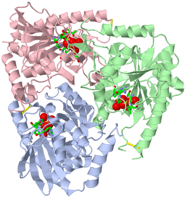 Image Biol. Unit 1 - sites