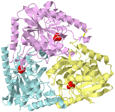 Image Biological Unit 2