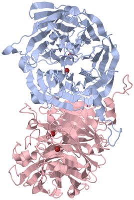 Image Biological Unit 1