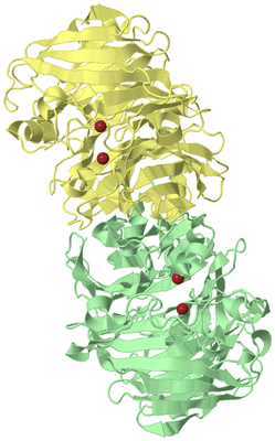 Image Biological Unit 2