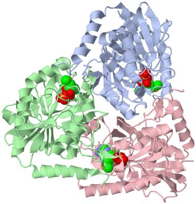 Image Asym./Biol. Unit