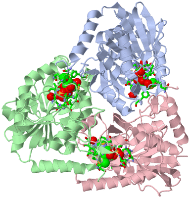 Image Asym./Biol. Unit - sites