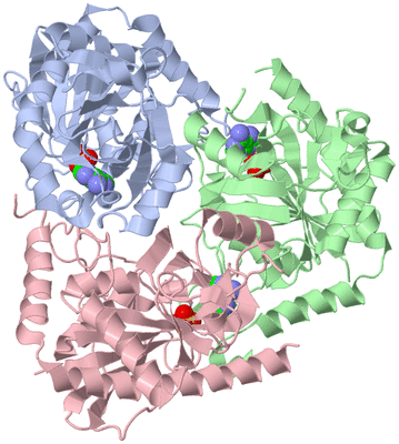 Image Asym./Biol. Unit