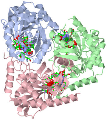 Image Asym./Biol. Unit - sites