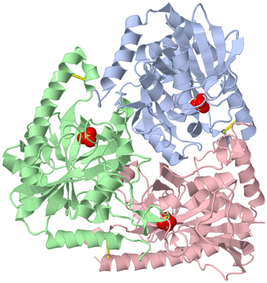 Image Biological Unit 1