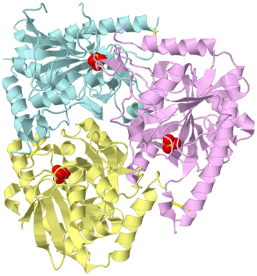 Image Biological Unit 2