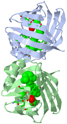 Image Asym. Unit - sites