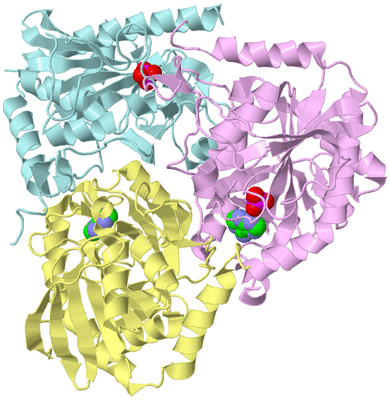 Image Biological Unit 2