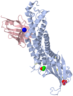 Image Biological Unit 1