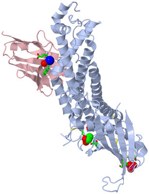 Image Biol. Unit 1 - sites