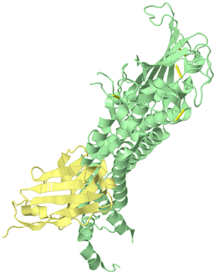 Image Biological Unit 2