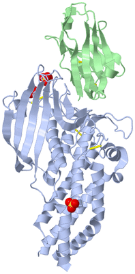 Image Biological Unit 1