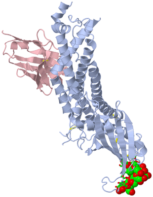 Image Biol. Unit 1 - sites