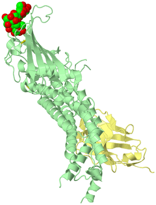 Image Biological Unit 2