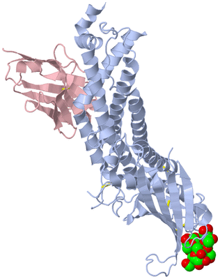 Image Biological Unit 1