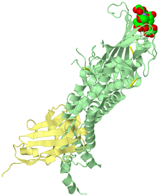 Image Biological Unit 2