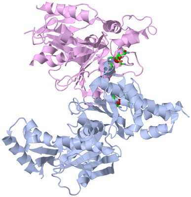 Image Asym./Biol. Unit - sites