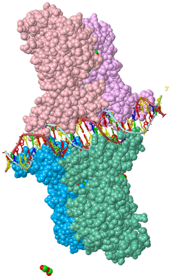 Image Asym./Biol. Unit