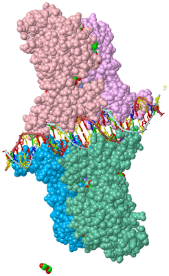 Image Asym./Biol. Unit - sites