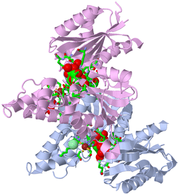 Image Asym./Biol. Unit - sites