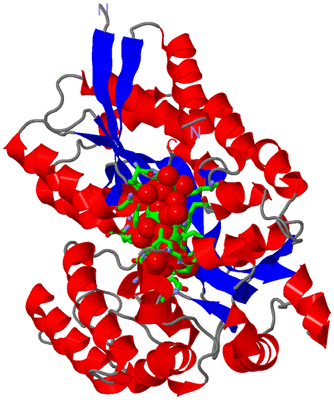 Image Asym./Biol. Unit - sites