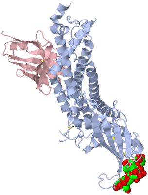 Image Biological Unit 1